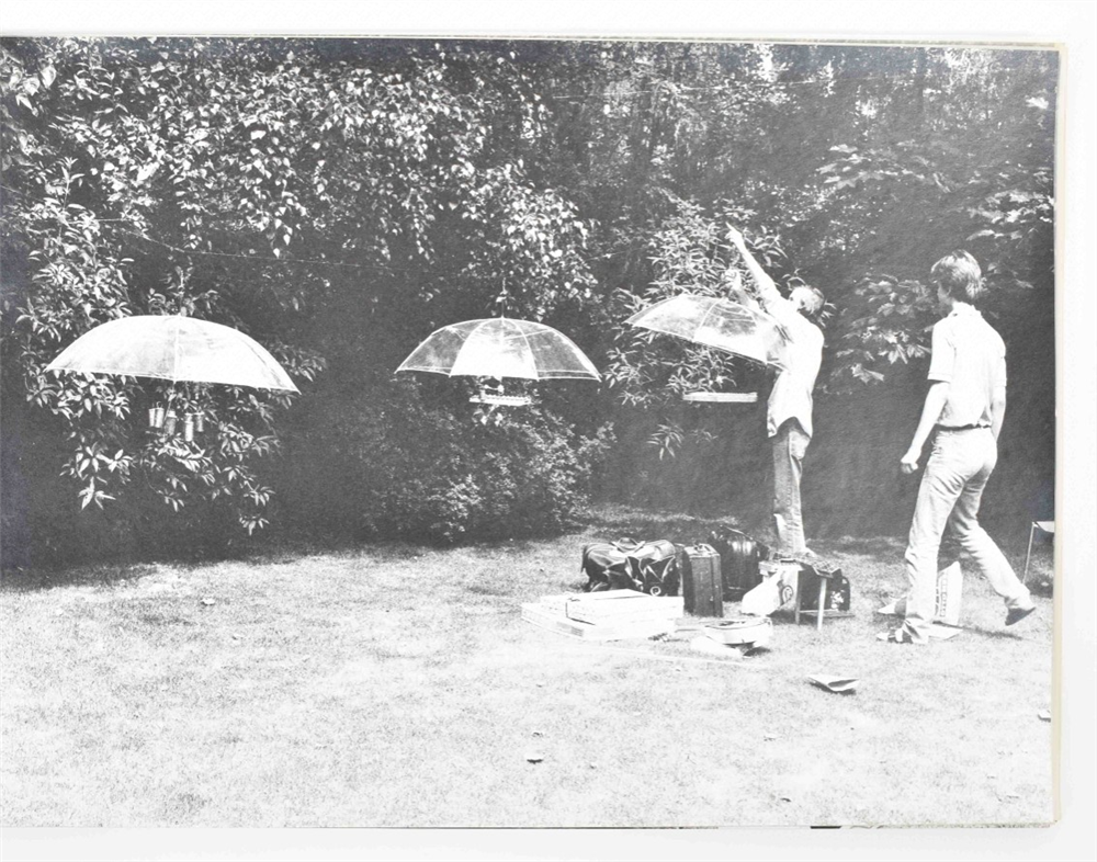 Joe Jones, A Garden Party at Erick Andersch's - Image 3 of 10