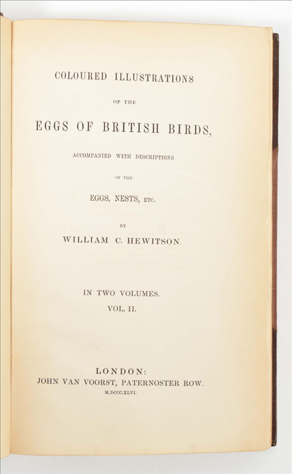 [Ornithology] William C. Hewitson. Coloured Illustrations of the Eggs of British Birds - Bild 5 aus 8