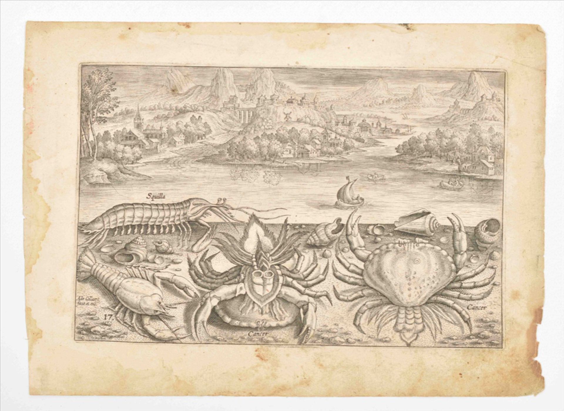 Adriaen Collaert (ca. 1560-1618). Six engravings from "Piscium vivae icones" - Bild 3 aus 3