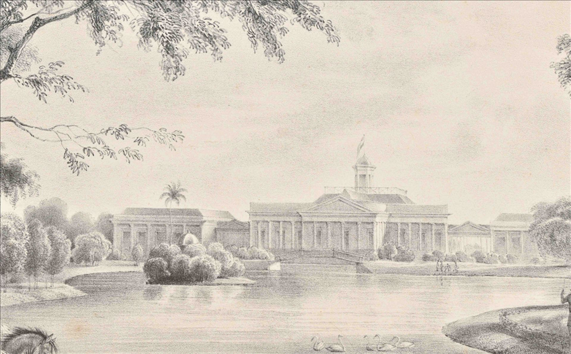 [Java. Bogor] "Vue du palais de Buitenzorg, prise du parc. Ile de Java" - Image 6 of 6