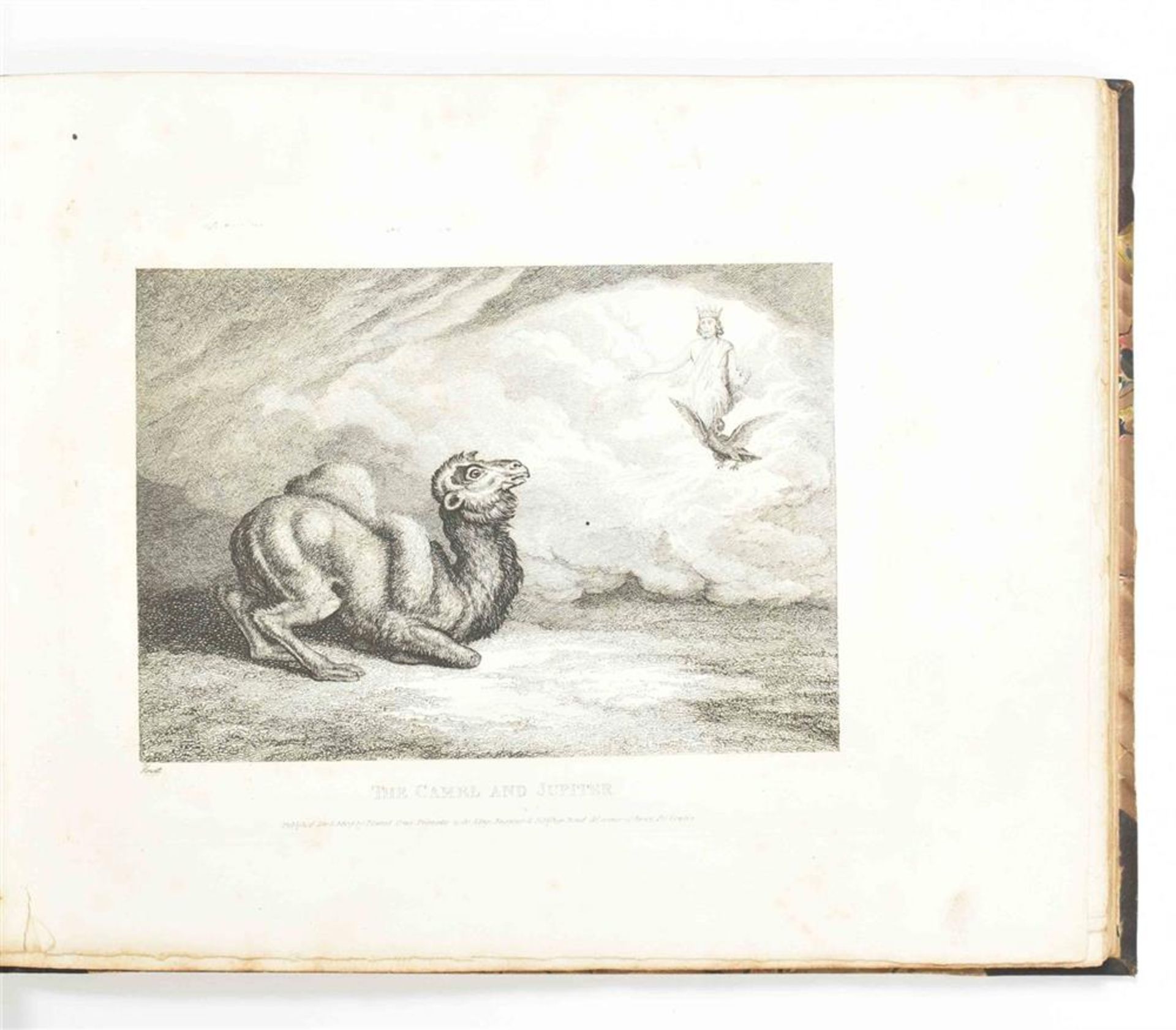 Howitt, S. (1756-1822). Album of animal etchings - Image 5 of 8