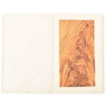 [Artist's manuals] Burg, P. van der. Handboek voor den schilder, de hout- en marmer- nabootsing