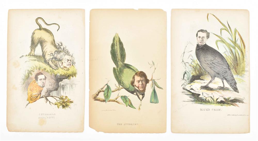 Collection of 80 miscellaneous prints natural history, caricature and costumes