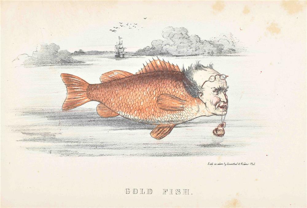 Collection of 80 miscellaneous prints natural history, caricature and costumes - Image 9 of 10