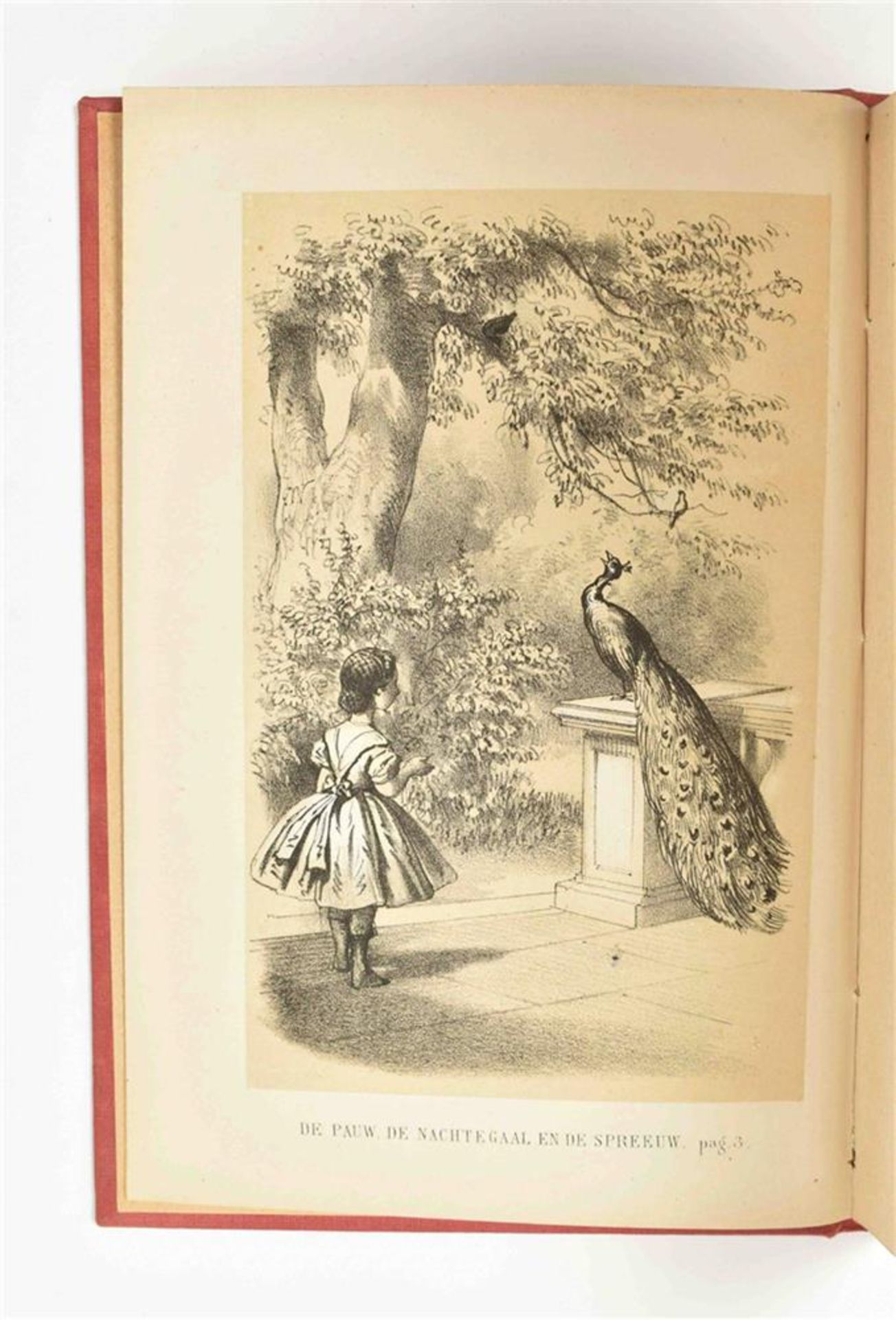 [Dutch children's books] Seventeen mid nineteenth century Dutch titles of children's poetry - Image 7 of 10