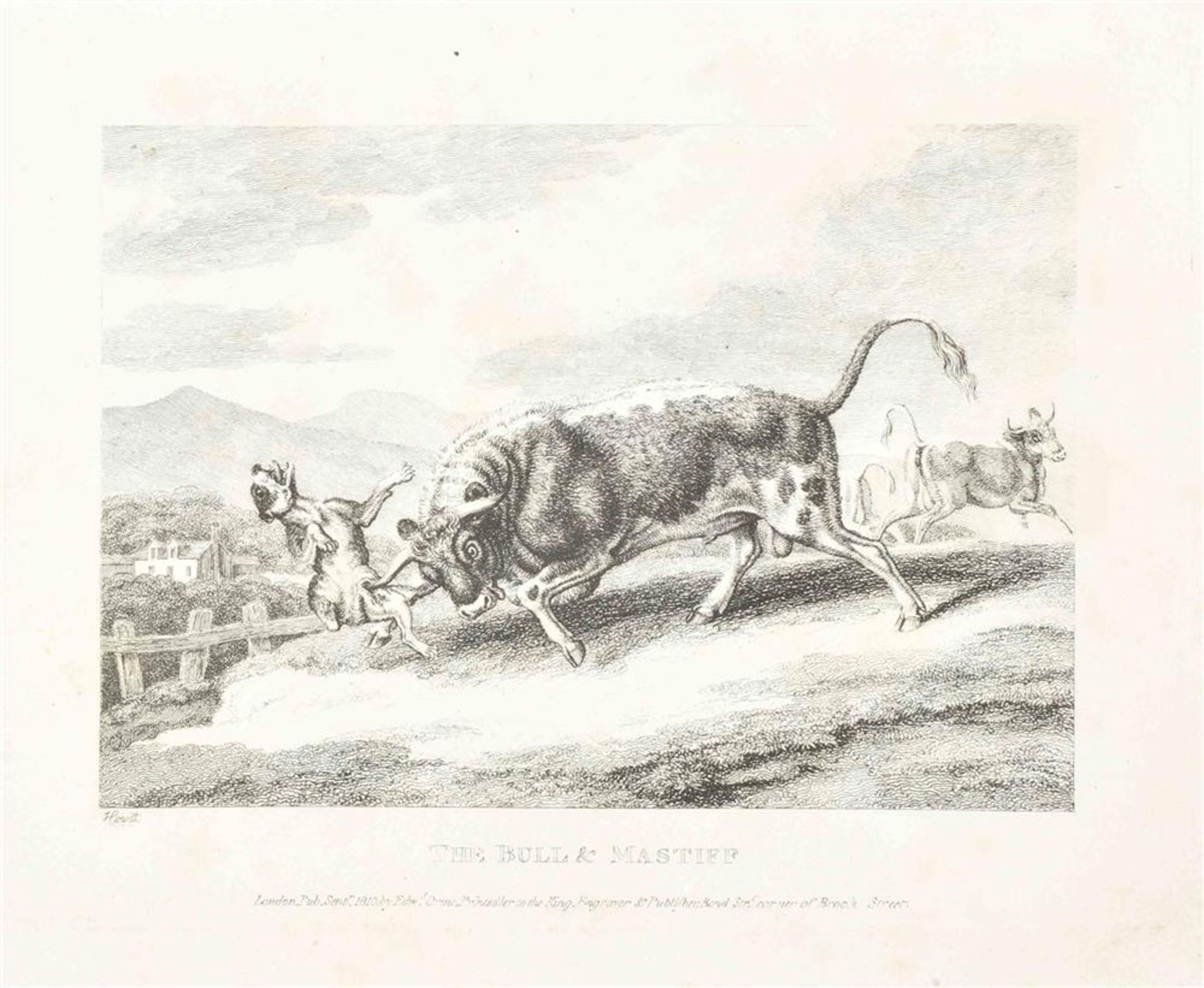 Howitt, S. (1756-1822). Album of animal etchings - Bild 3 aus 8