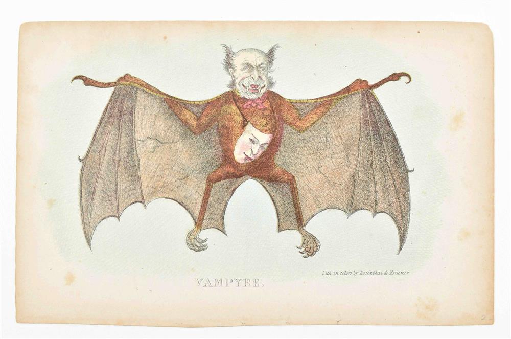 Collection of 80 miscellaneous prints natural history, caricature and costumes - Image 4 of 10
