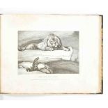 Howitt, S. (1756-1822). Album of animal etchings