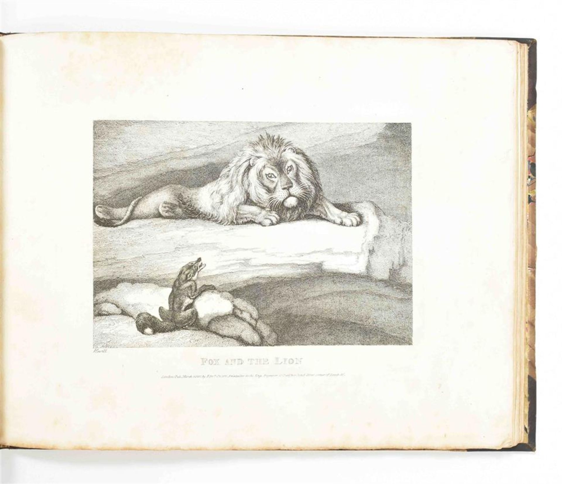 Howitt, S. (1756-1822). Album of animal etchings