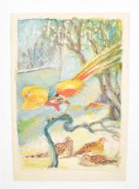 Ruting, J. (1909-1987). Thirteen bird watercolors and drawings