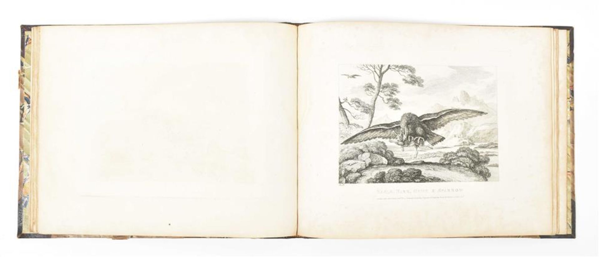 Howitt, S. (1756-1822). Album of animal etchings - Image 4 of 8
