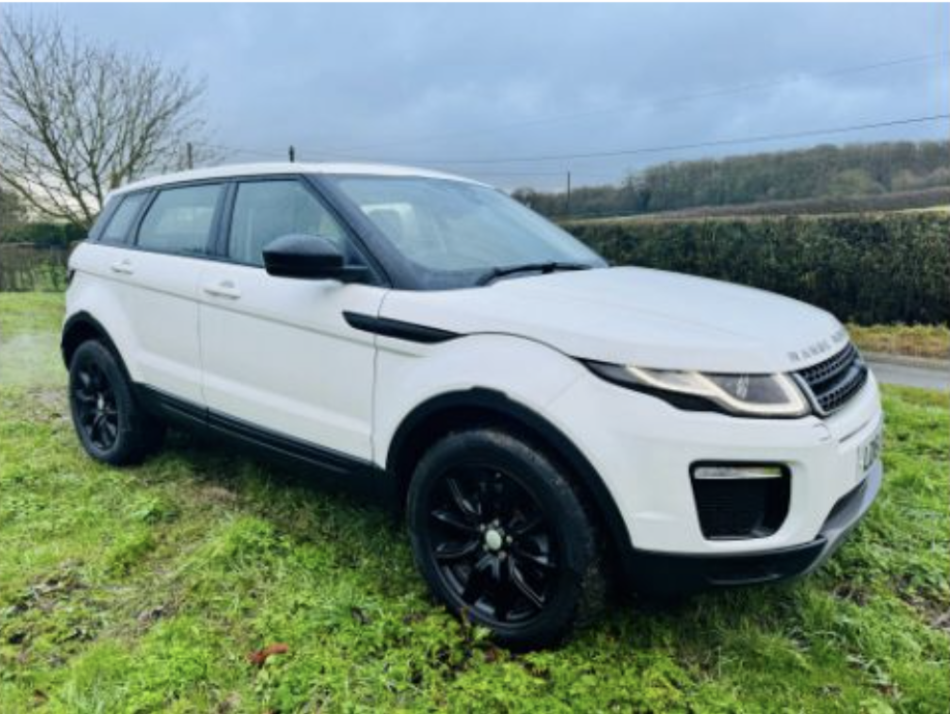 *RESERVE MET* RANGE ROVER EVOQUE 2.0 TD4 SE Tech 5dr Automatic - 2016 - Pan Roof - Air con - Full L