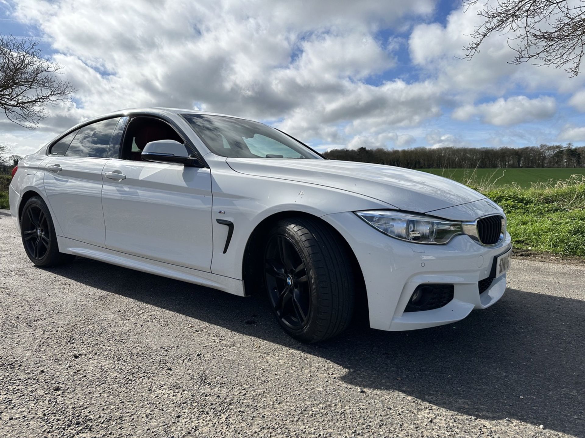 BMW 4 SERIES 420i M Sport 5dr [Professional Media] Manual - Petrol - 2.0 - Coupe- 54k miles - 2016