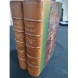 The Personal History of David Copperfield, volumes I & II, 1866 Library edition by Charles Dickens