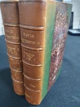 The Personal History of David Copperfield, volumes I & II, 1866 Library edition by Charles Dickens