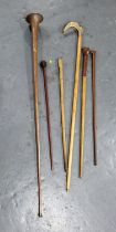 Selction of walking sticks and a coach horn (Qty)