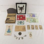 Coin Bracelet, Scorpion, Postcards and More