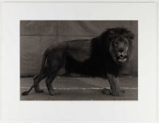 Balthasar Burkhard (1944 Bern 2010)