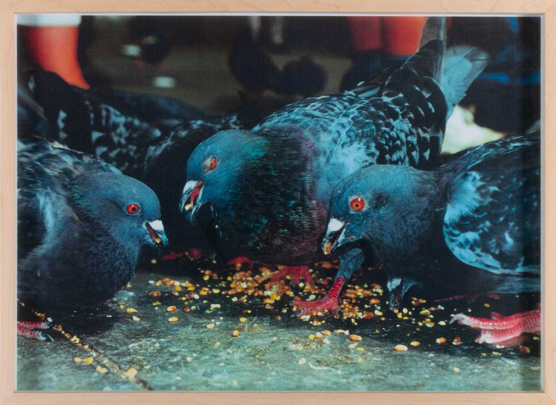 Martin Parr (1952 Epsom – lebt in Bristol) - Image 2 of 5