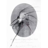 Arnulf Rainer (1929 Baden bei Wien – lebt in Wien)