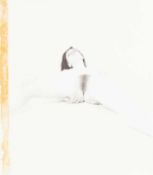 Lionel Bayol-Thémines (1968 Paris – lebt in Paris)