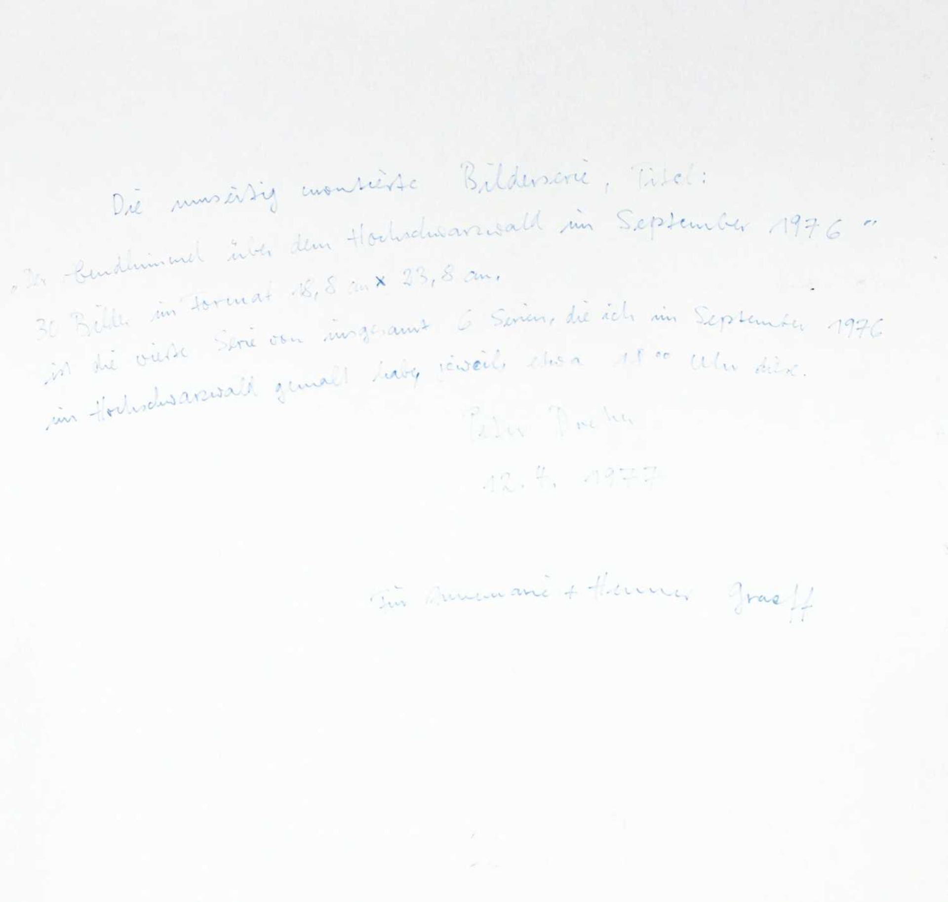 Peter Dreher (1932 Mannheim - Freiburg 2020) - Bild 5 aus 5