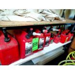 LOT (10) ASSORTED GAS CONTAINERS