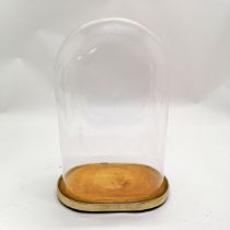 Vintage glass display dome on a brass and covered base - dome 19.5cm x 12.5cm x 30cm high