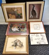 Collection of assorted Pictures and paintings of assorted cats.