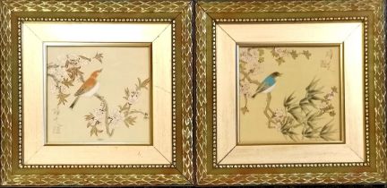 2 x Chinese hand painted pictures of prunus bird studies in a classical gilt frame. 37cm x 36cm