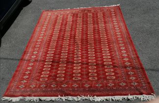 Large Pakistani Bokhara late 20th century carpet in red. Measures 302 x 225cm. In good used