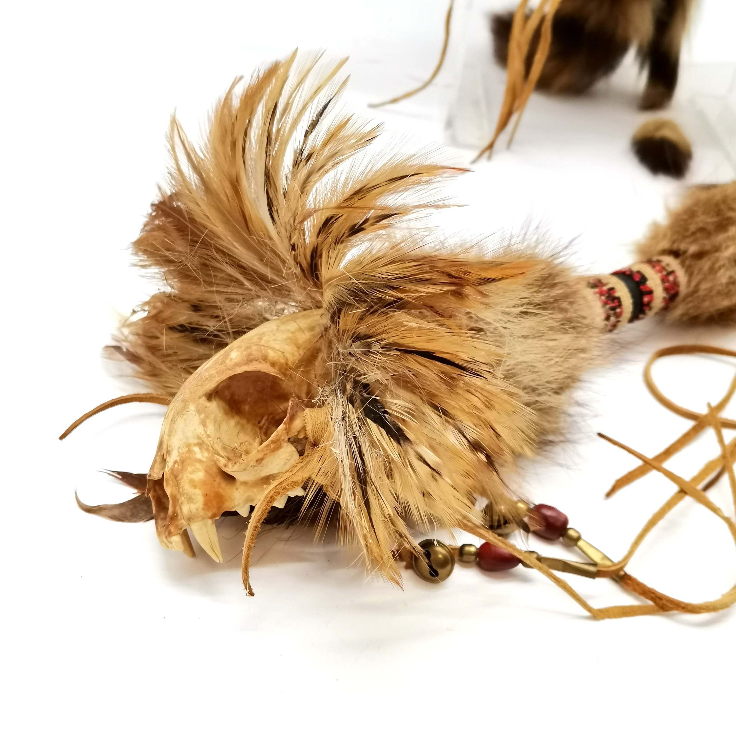 Native North American Indian shaman head-dress & stick rattle (68cm) with native beadwork decoration - Image 6 of 6