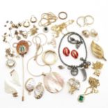 Dyrberg Kern necklace inc tigers eye pendant, Monet earrings + brooch, mother of pearl pendant +