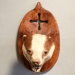 Taxidermied badger mask on a wooden plaque with cross cut-out detail - 30cm drop