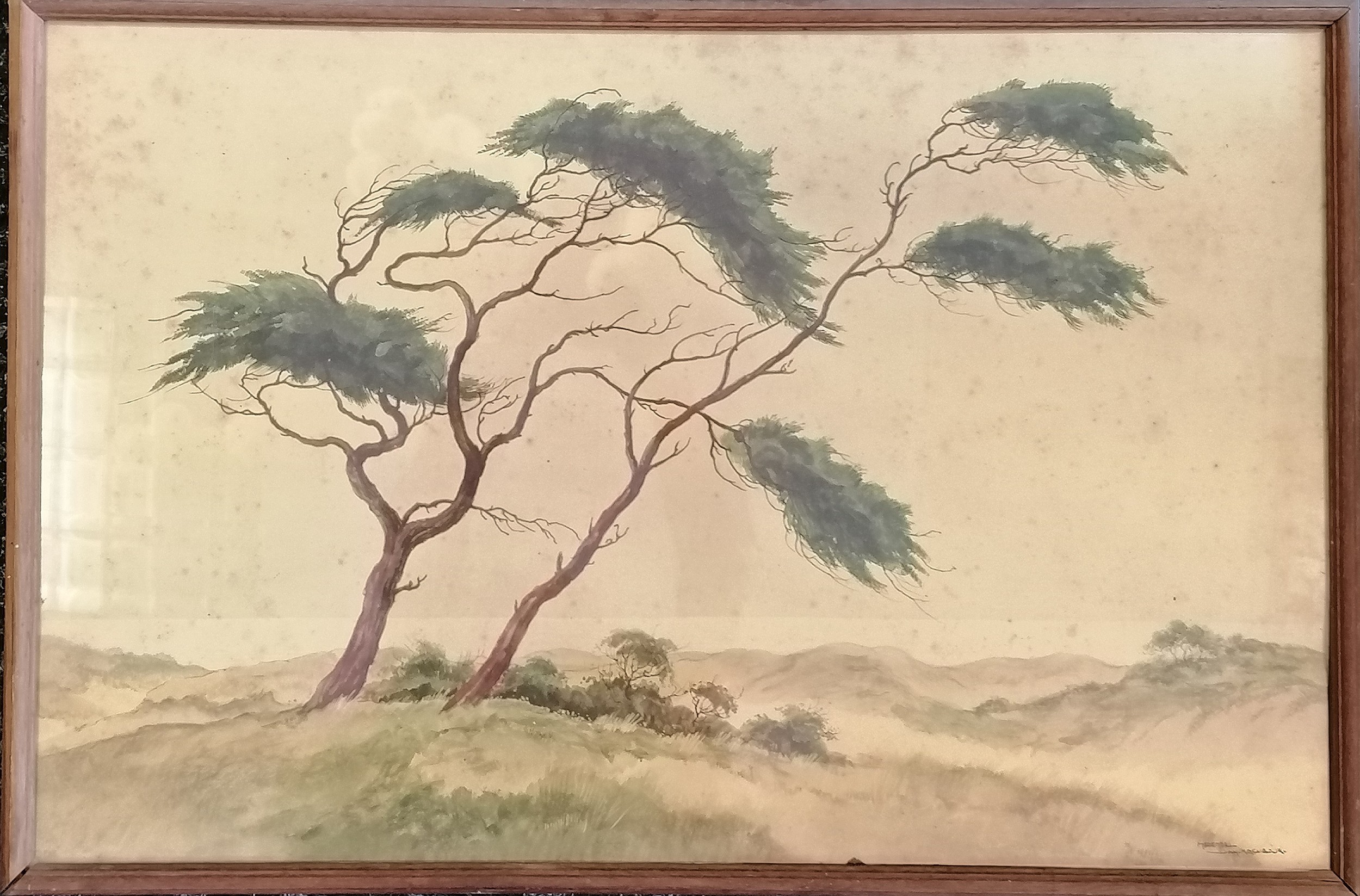 Framed print of some 'Pines on the dunes' by Jan Kagie (1907-91) - 53cm x 80cm & has some toning