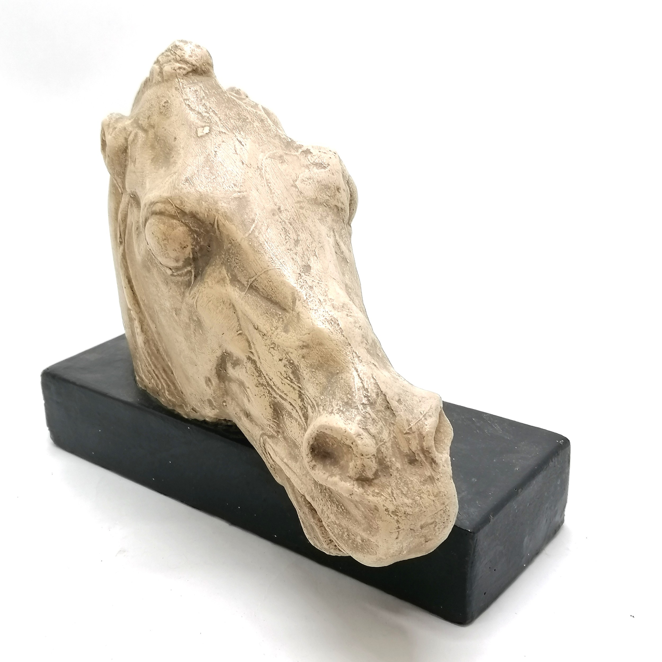 Plaster horses head on a black base 30cm long x 26cm high - Image 2 of 3