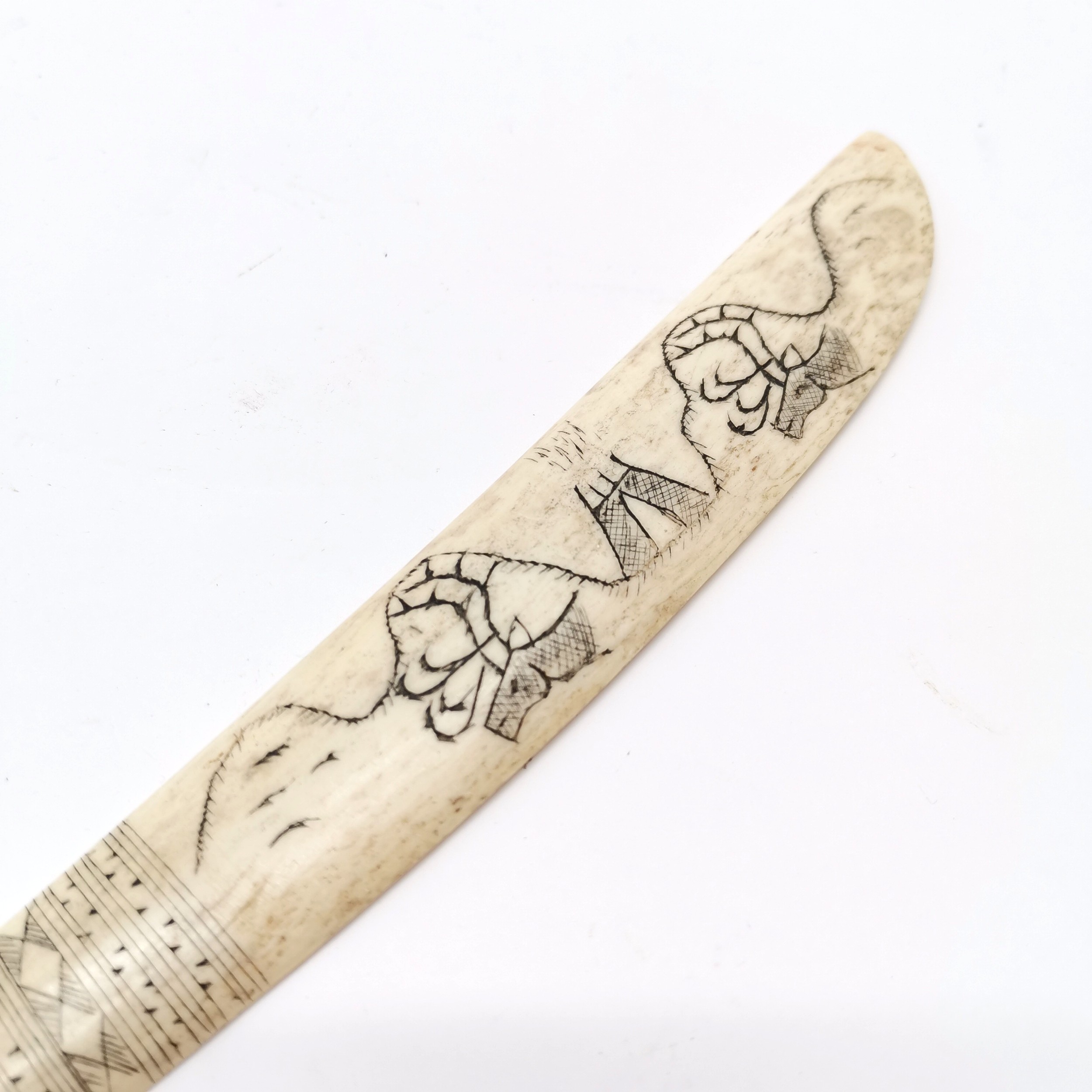 Inuit scrimshaw carved bone scraping knife with carabou & tent detail - 24cm long - Image 2 of 3