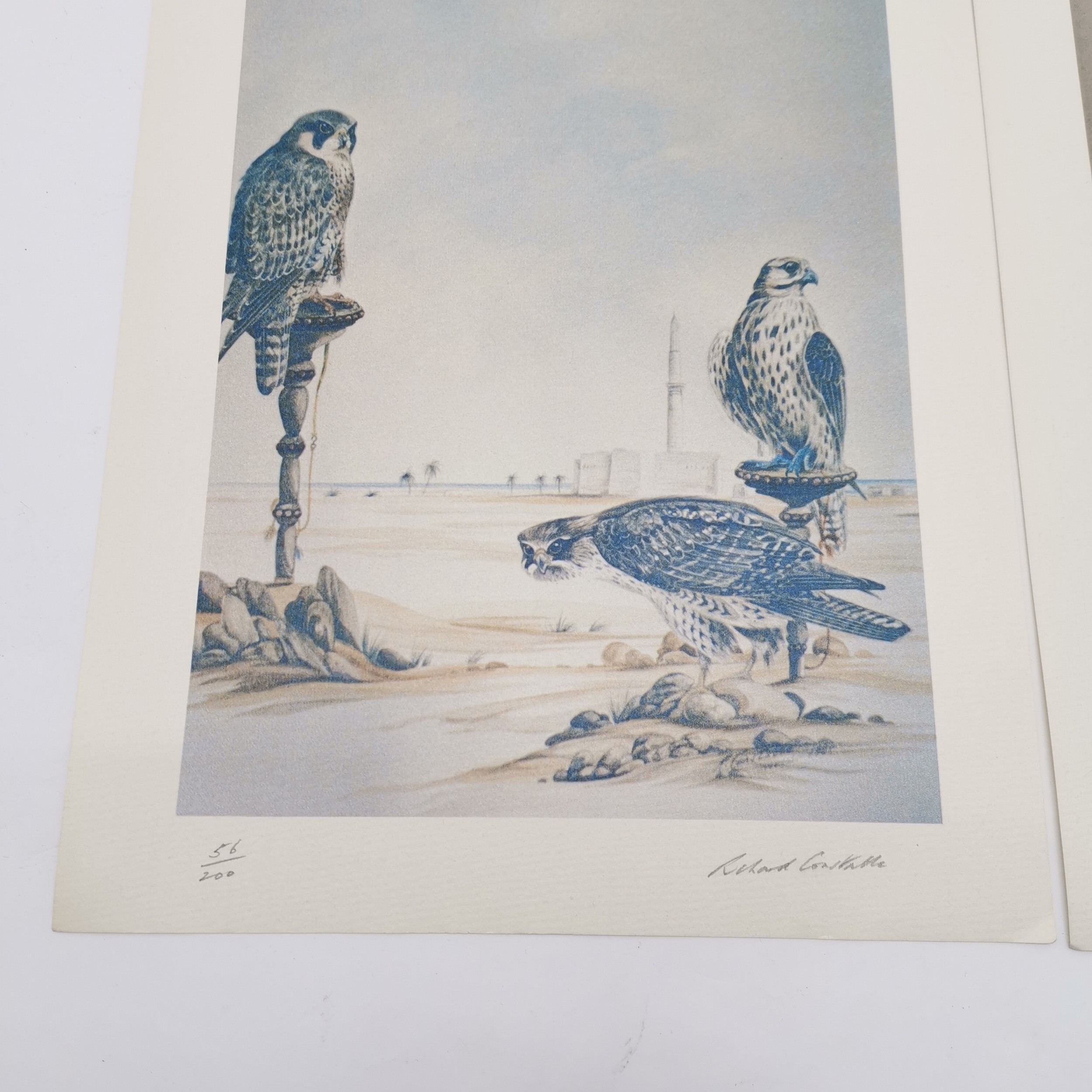 3 x signed prints of falcons - 2 by B Ryder & 1 by Richard Constable (1932-2015) - 37cm x 28cm ~ all - Image 4 of 4