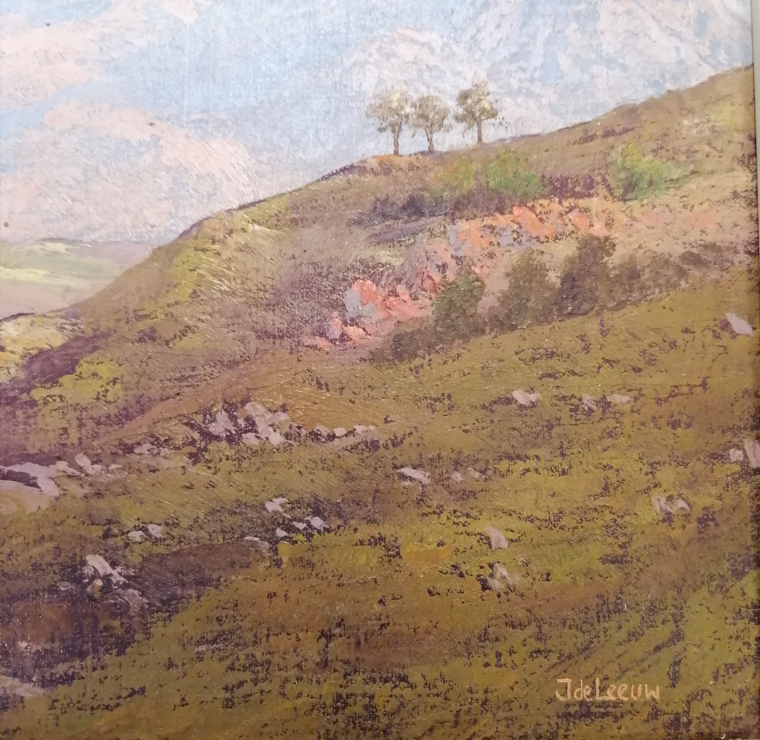 Jan de Leeuw (1908-1988) oil on canvas of a South African pastoral scene, signed bottom right, frame - Image 6 of 6