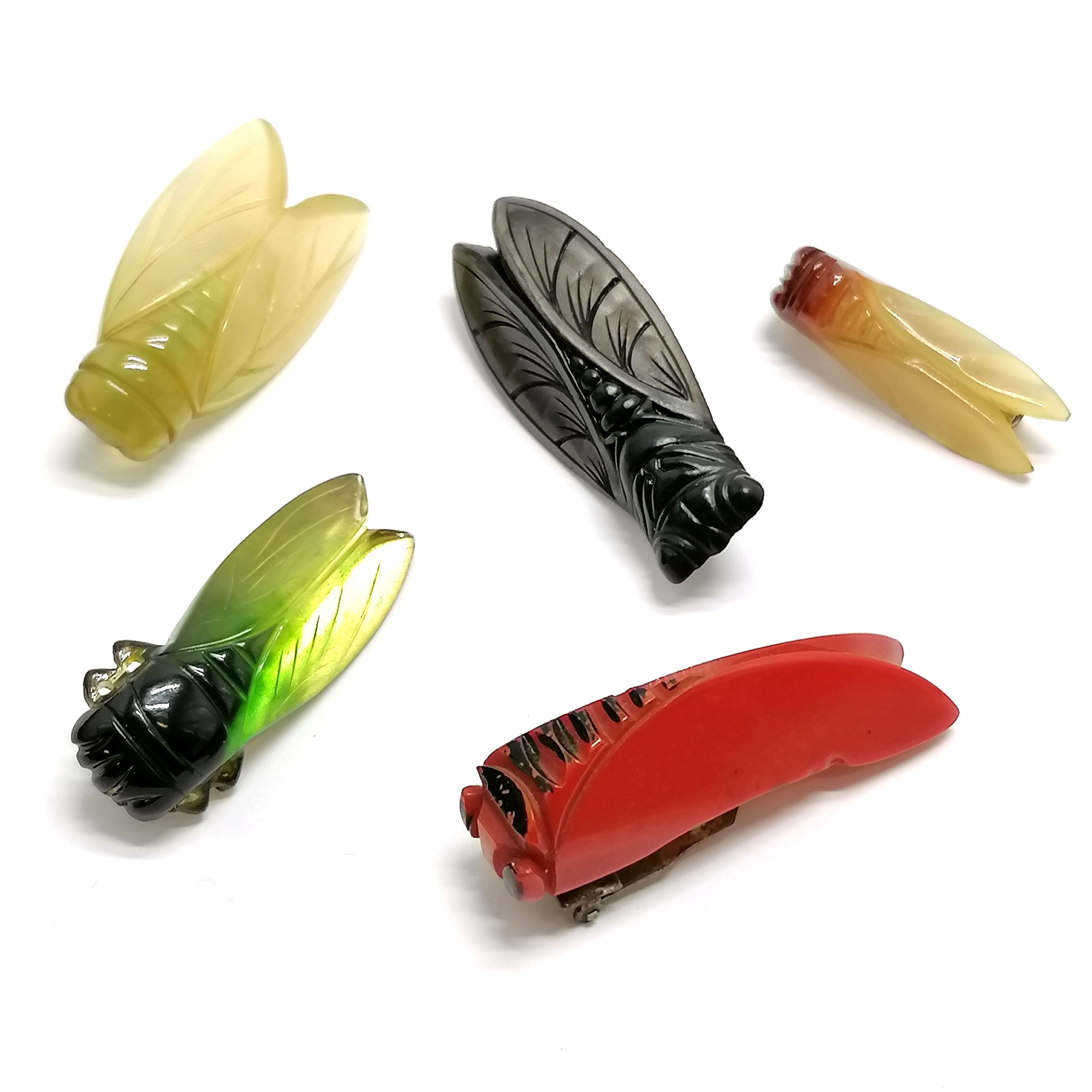 4 x vintage plastics cicada brooches t/w cicada dressclip (5cm) - Image 3 of 3