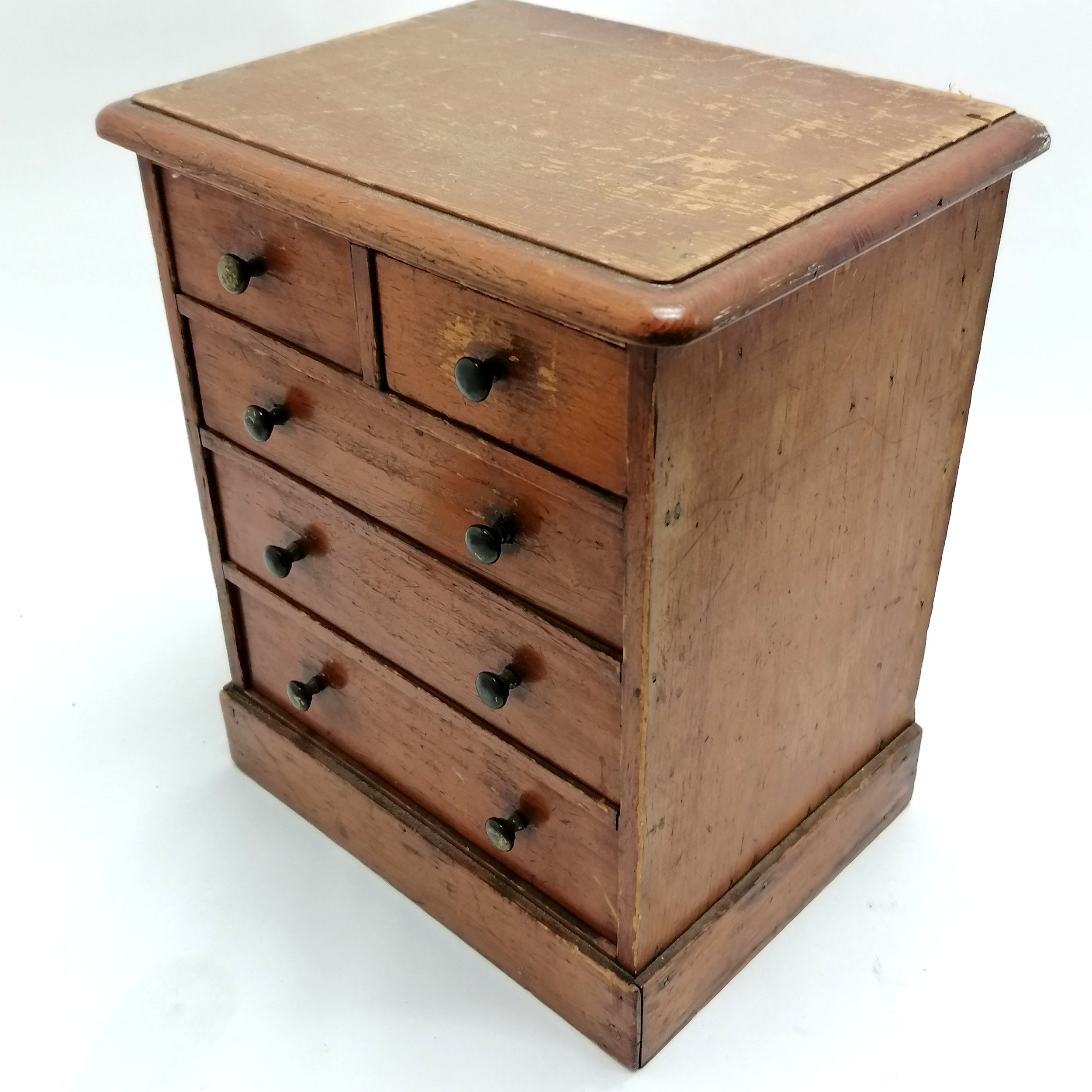 Antique small pine table cabinet containing a collection of shells inc hammer oyster, cowries, - Image 6 of 7