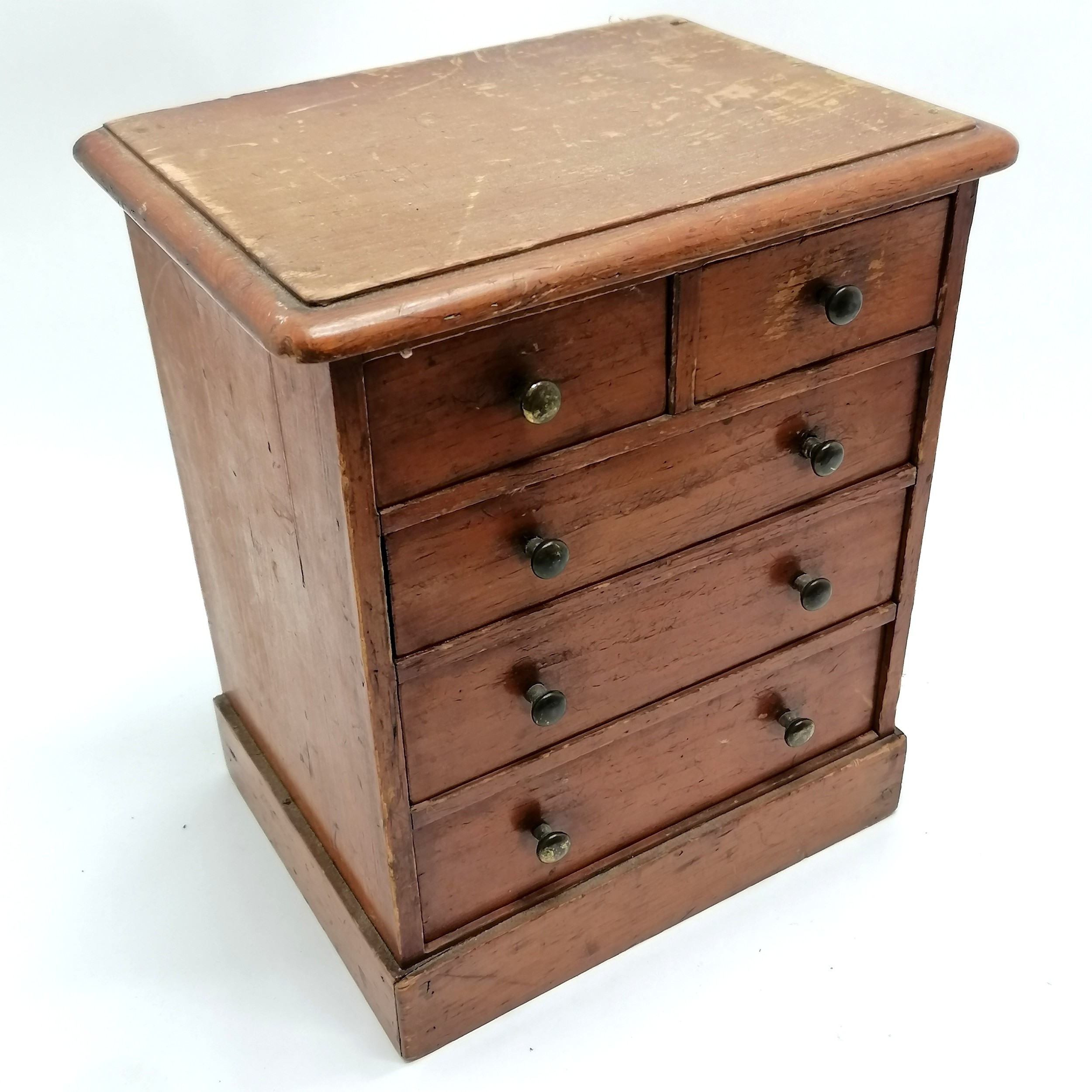 Antique small pine table cabinet containing a collection of shells inc hammer oyster, cowries, - Image 7 of 7