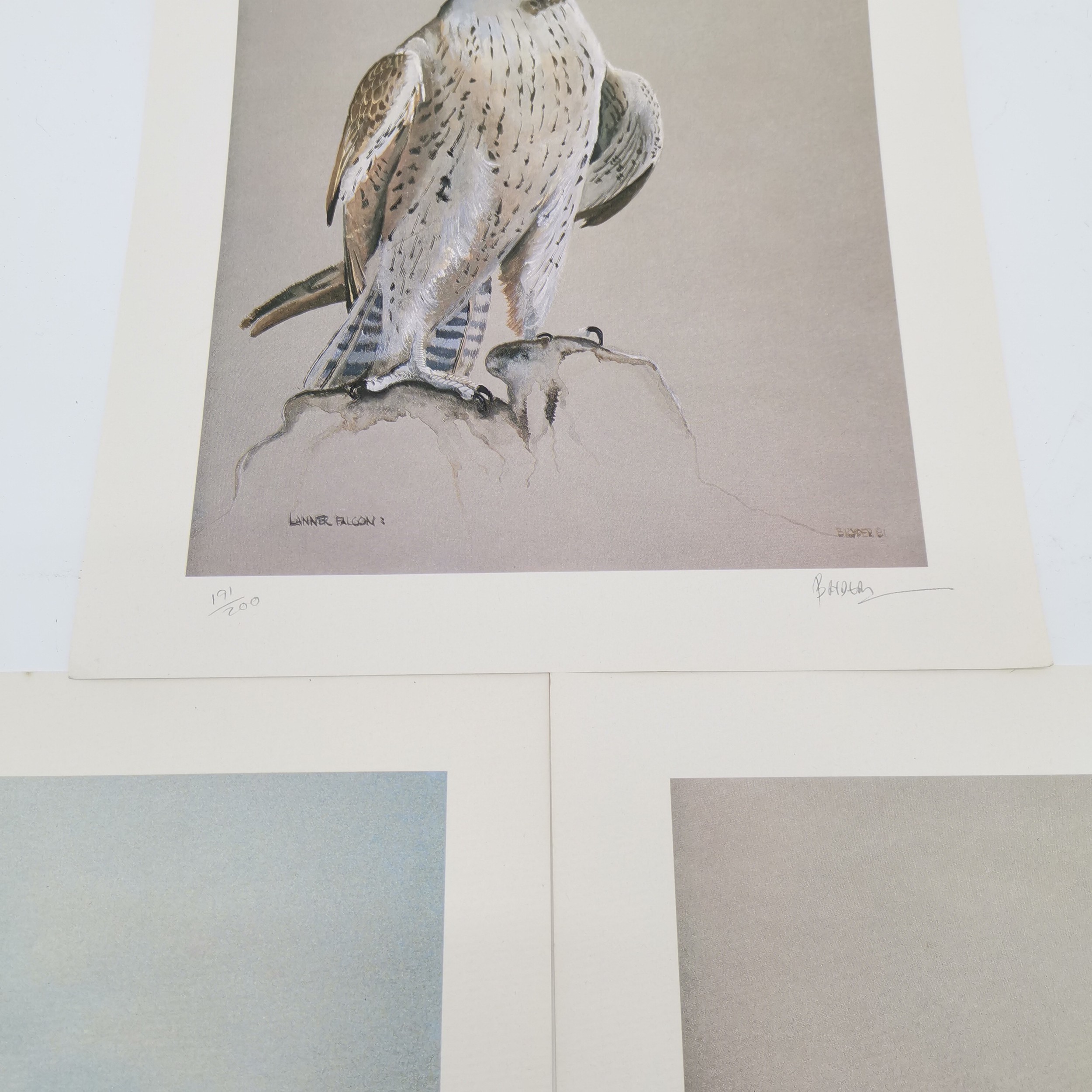 3 x signed prints of falcons - 2 by B Ryder & 1 by Richard Constable (1932-2015) - 37cm x 28cm ~ all - Image 3 of 4