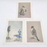 3 x signed prints of falcons - 2 by B Ryder & 1 by Richard Constable (1932-2015) - 37cm x 28cm ~ all