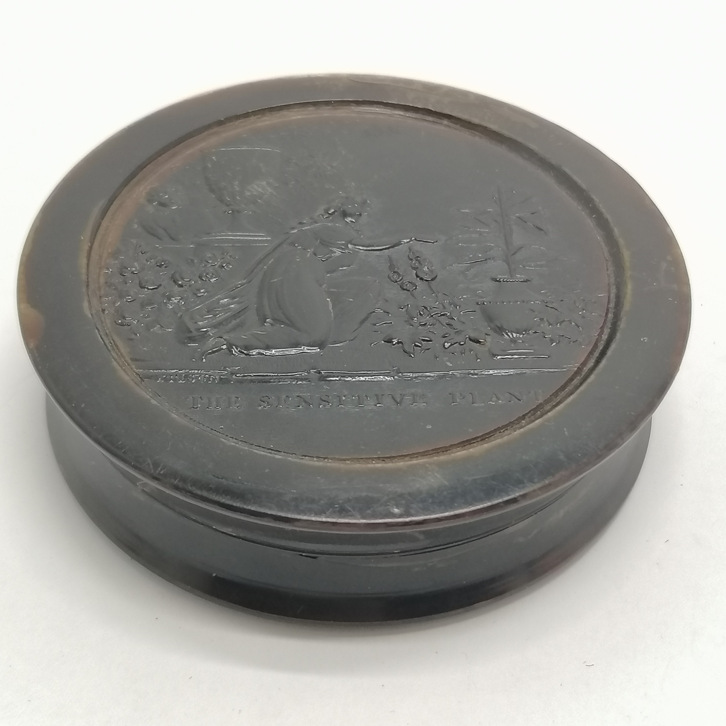 Antique pressed horn / tortoiseshell ? table snuff box by Wilson with classical scene to lid 'The - Image 6 of 6