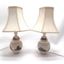 Pair of Boscastle Moccha ware lamp bases by Roger Irving Little total height 43cm - no obvious