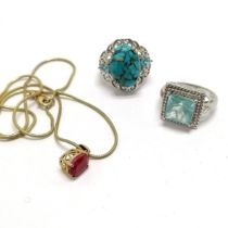 Karis 2 x stone set rings (1 silver) + ruby pendant on chain
