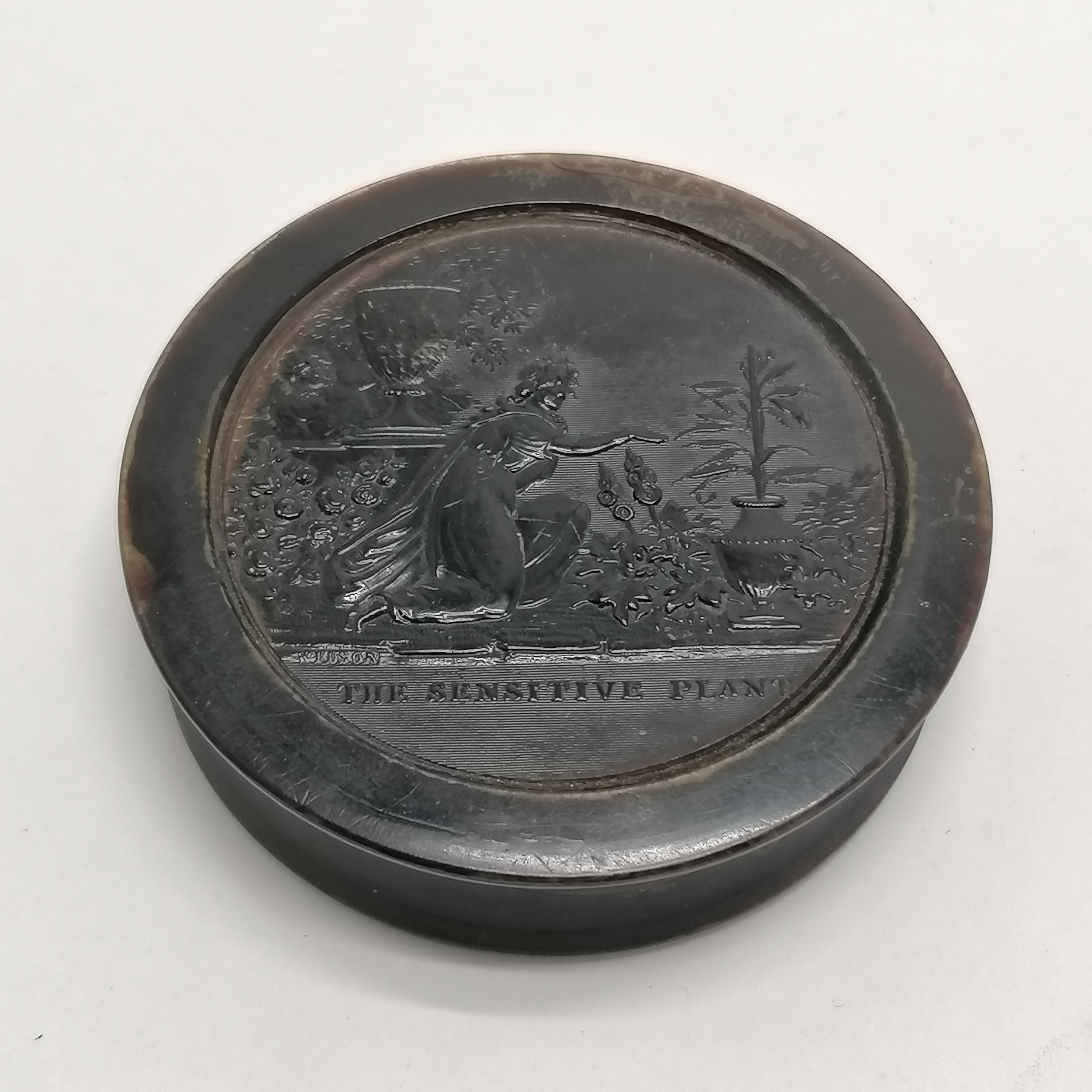 Antique pressed horn / tortoiseshell ? table snuff box by Wilson with classical scene to lid 'The