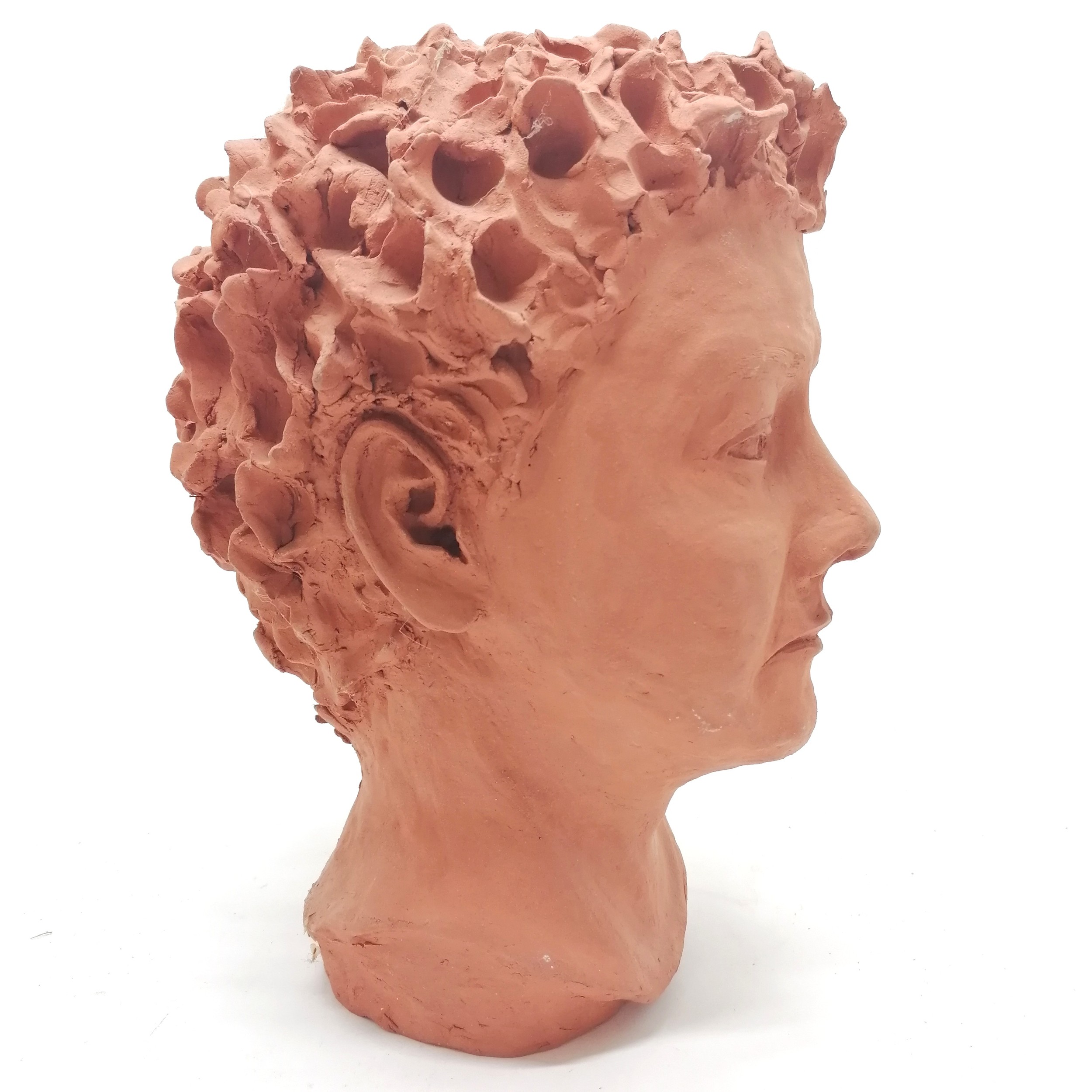 2 terracotta sculpted heads the biggest 32cm high - Image 3 of 7