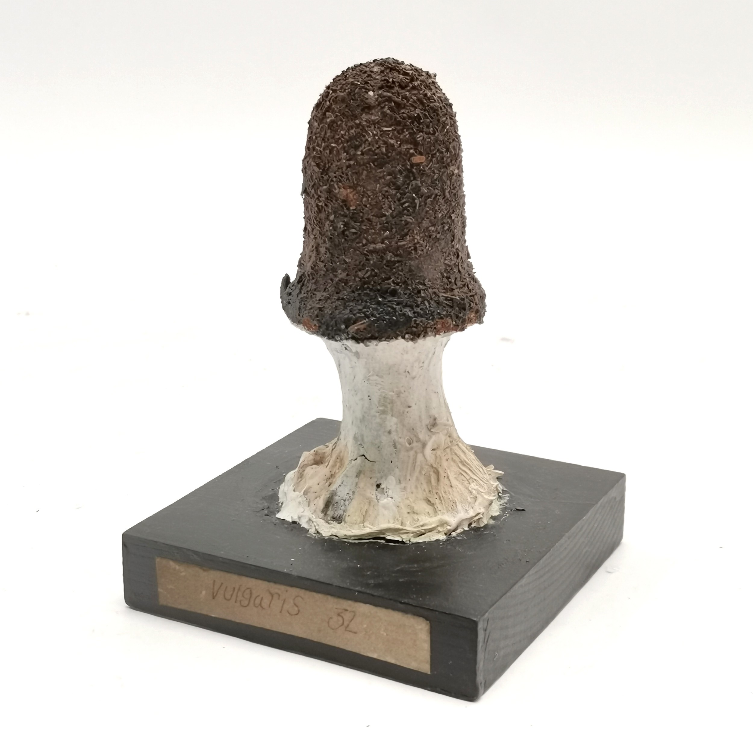 Carved wooden mushroom specimen #32 Vulgaris - 13cm high